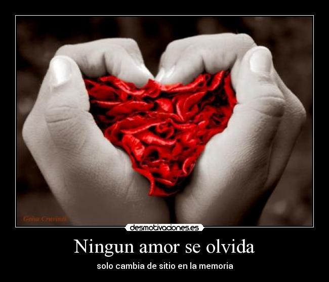 Ningun amor se olvida -
