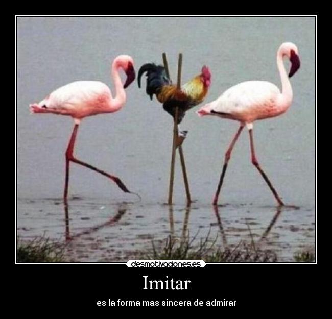 Imitar - 