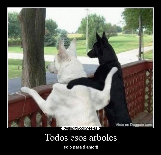 Todos esos arboles - 