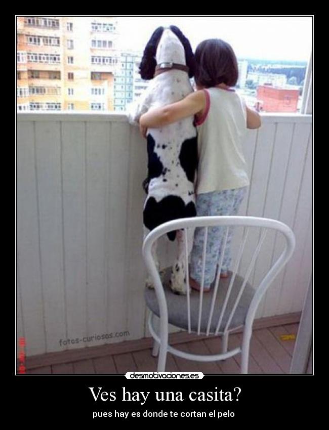 Ves hay una casita? - pues hay es donde te cortan el pelo