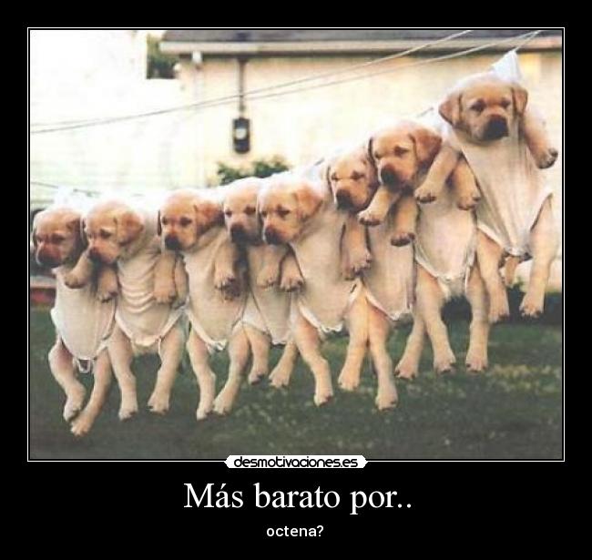 Más barato por.. - octena? 