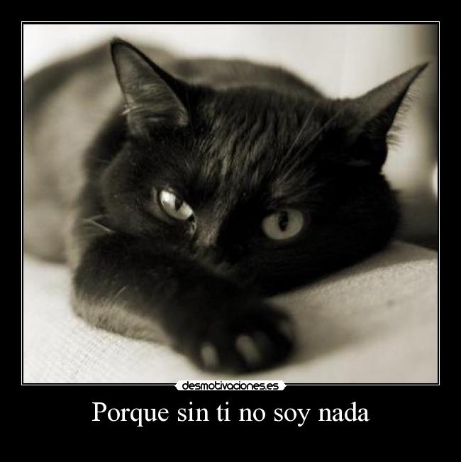 Porque sin ti no soy nada -