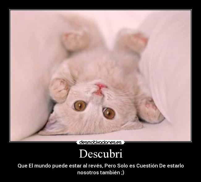 Descubri - Que El mundo puede estar al revés, Pero Solo es Cuestión De estarlo
nosotros también ;)