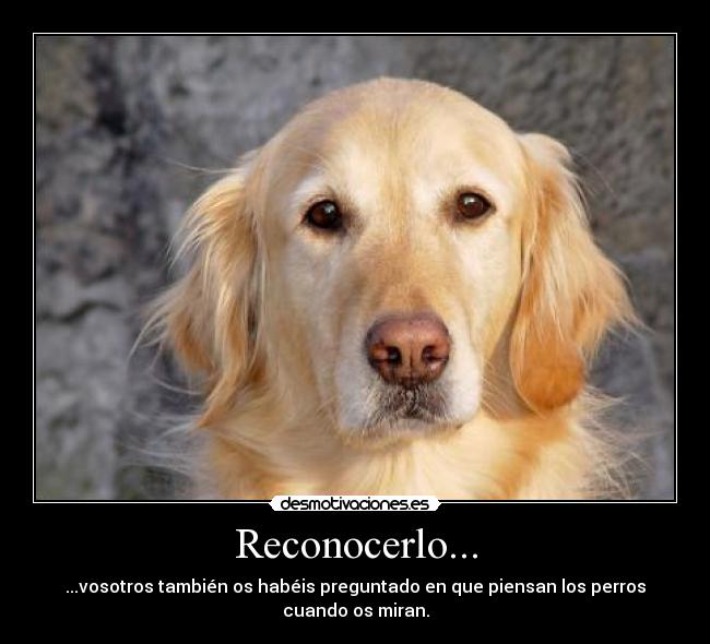 Reconocerlo... - 