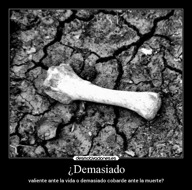 ¿Demasiado - 