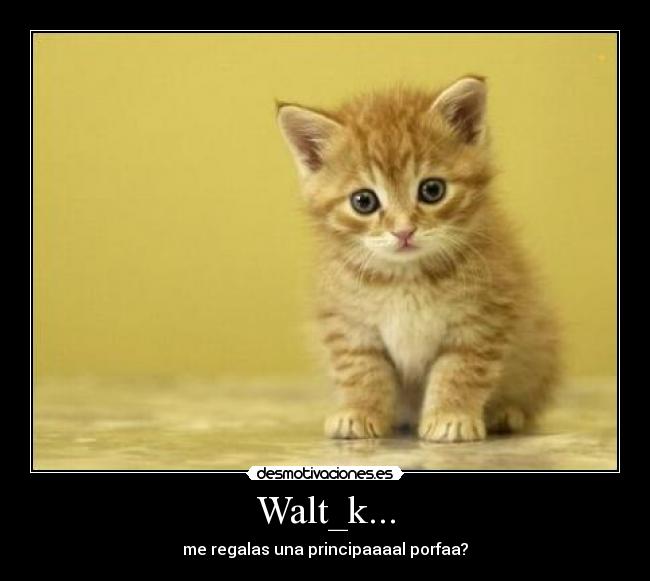 Walt_k... -