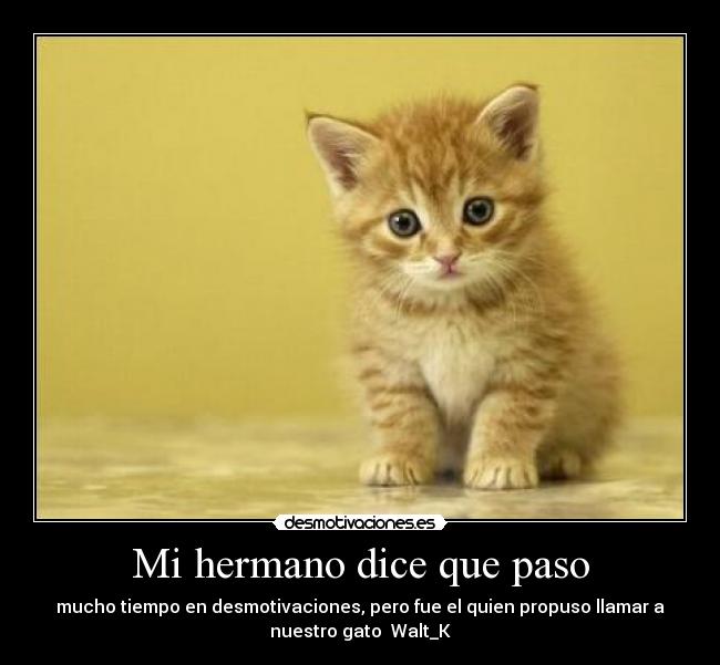 Mi hermano dice que paso - 