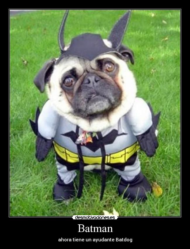 Batman - ahora tiene un ayudante Batdog