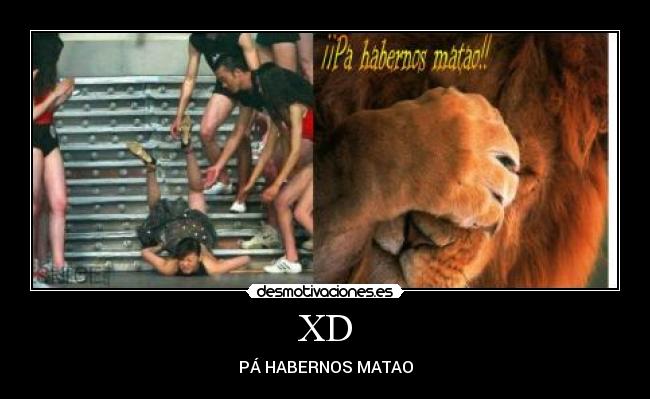 XD - PÁ HABERNOS MATAO
