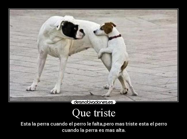Que triste -