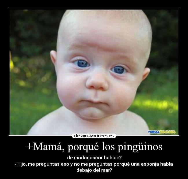 +Mamá, porqué los pingüinos - de madagascar hablan?
- Hijo, me preguntas eso y no me preguntas porqué una esponja habla 
debajo del mar?