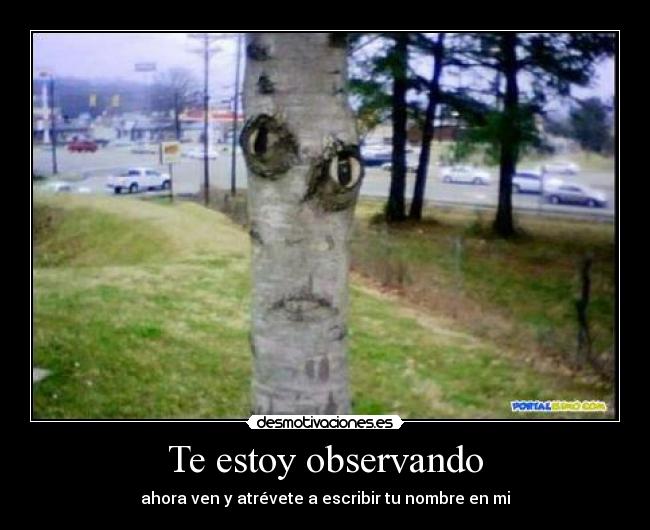 Te estoy observando -