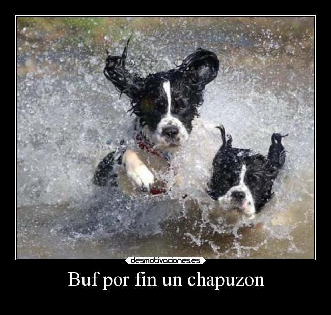 carteles desmotivaciones