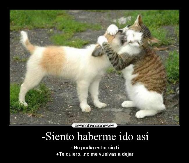 -Siento haberme ido así - 