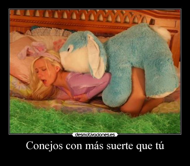 Conejos con más suerte que tú - 