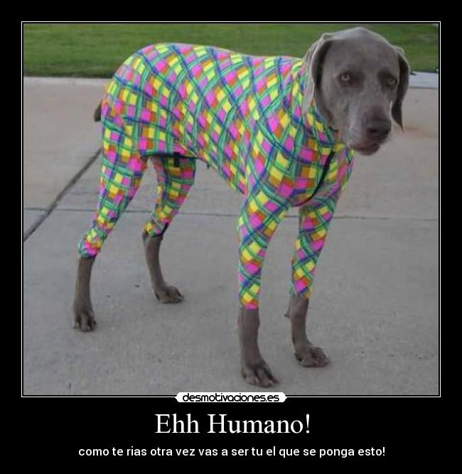Ehh Humano! - como te rias otra vez vas a ser tu el que se ponga esto!