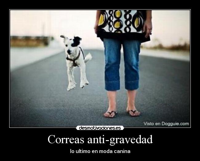 Correas anti-gravedad - 