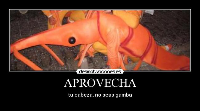 carteles topy desmotivaciones