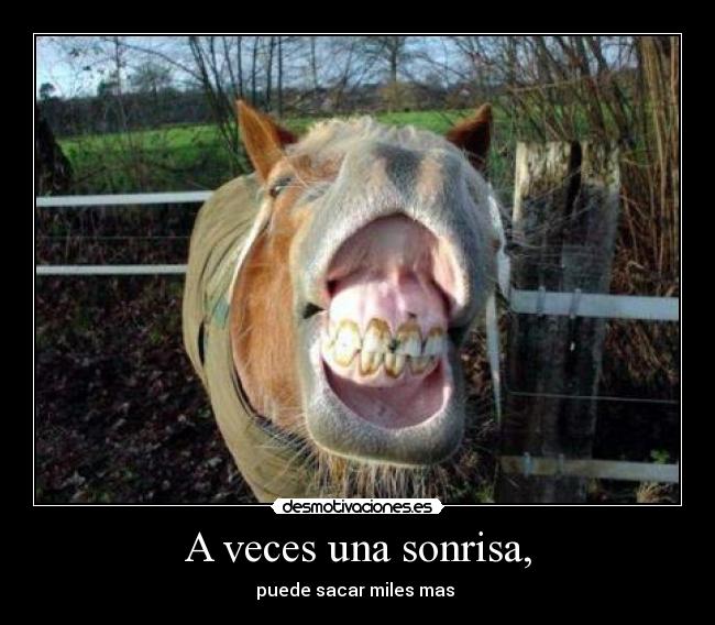 A veces una sonrisa, - puede sacar miles mas