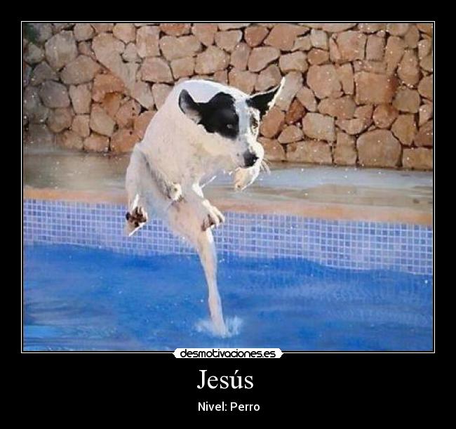 Jesús - Nivel: Perro