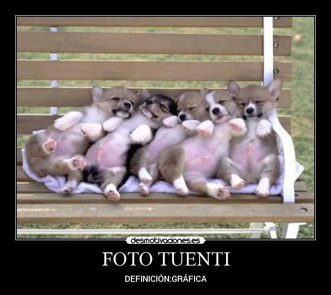 FOTO TUENTI - 