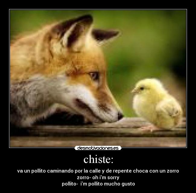 chiste: - 