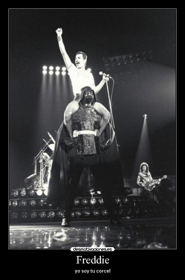Freddie - yo soy tu corcel