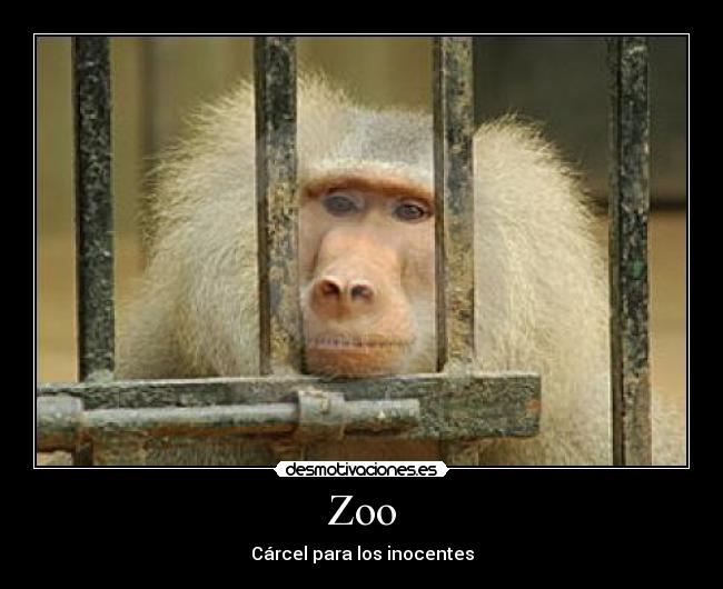 carteles encarcelar animales desmotivaciones