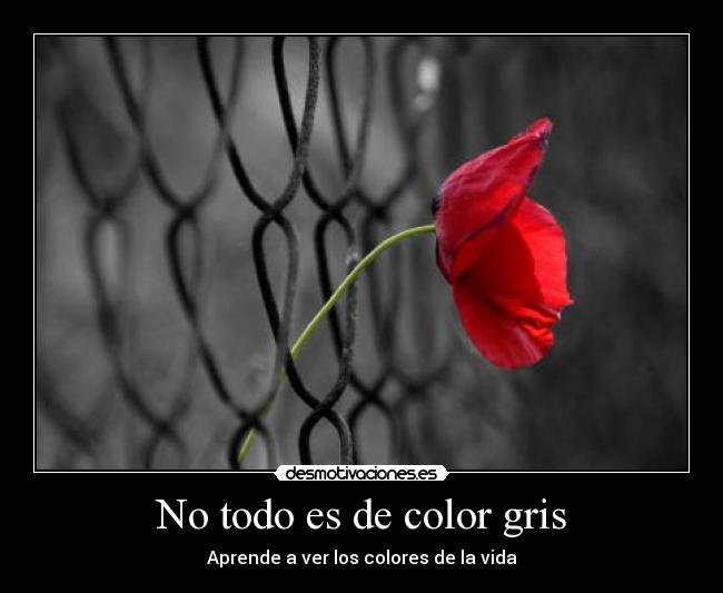No todo es de color gris - 