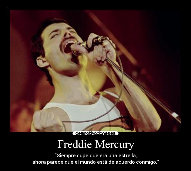 Freddie Mercury - Siempre supe que era una estrella,
ahora parece que el mundo está de acuerdo conmigo.
