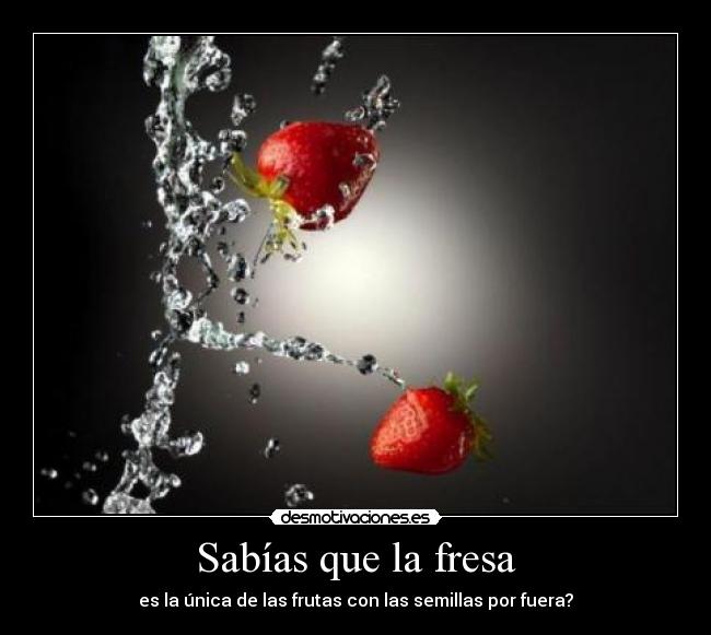 Sabías que la fresa - 