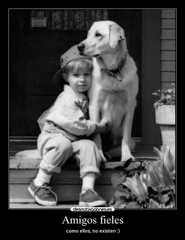 Amigos fieles - como ellos, no existen :)