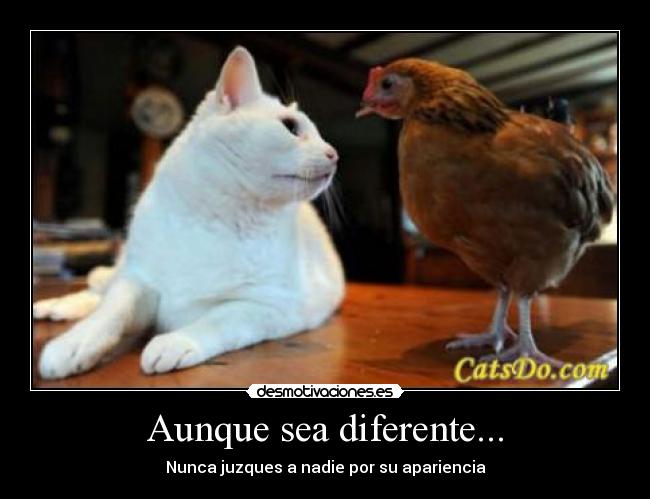 Aunque sea diferente... -