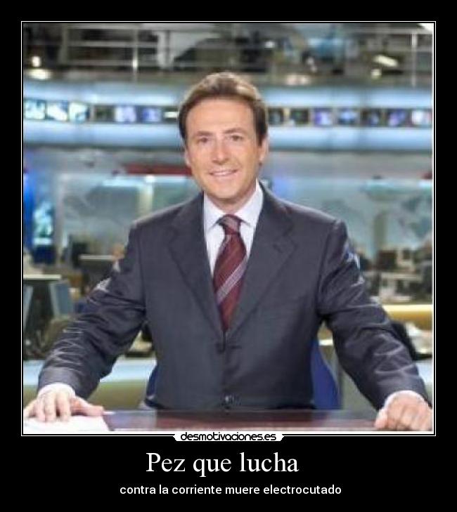 Pez que lucha - contra la corriente muere electrocutado