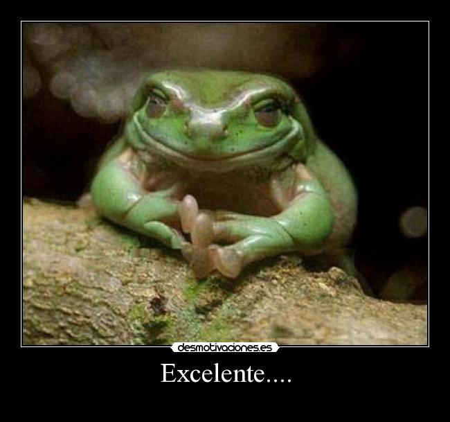Excelente.... -