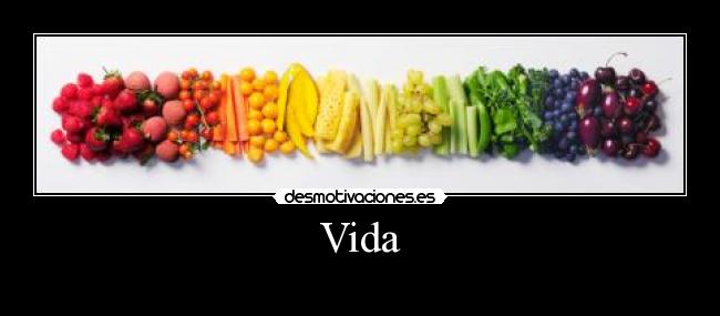 Vida -