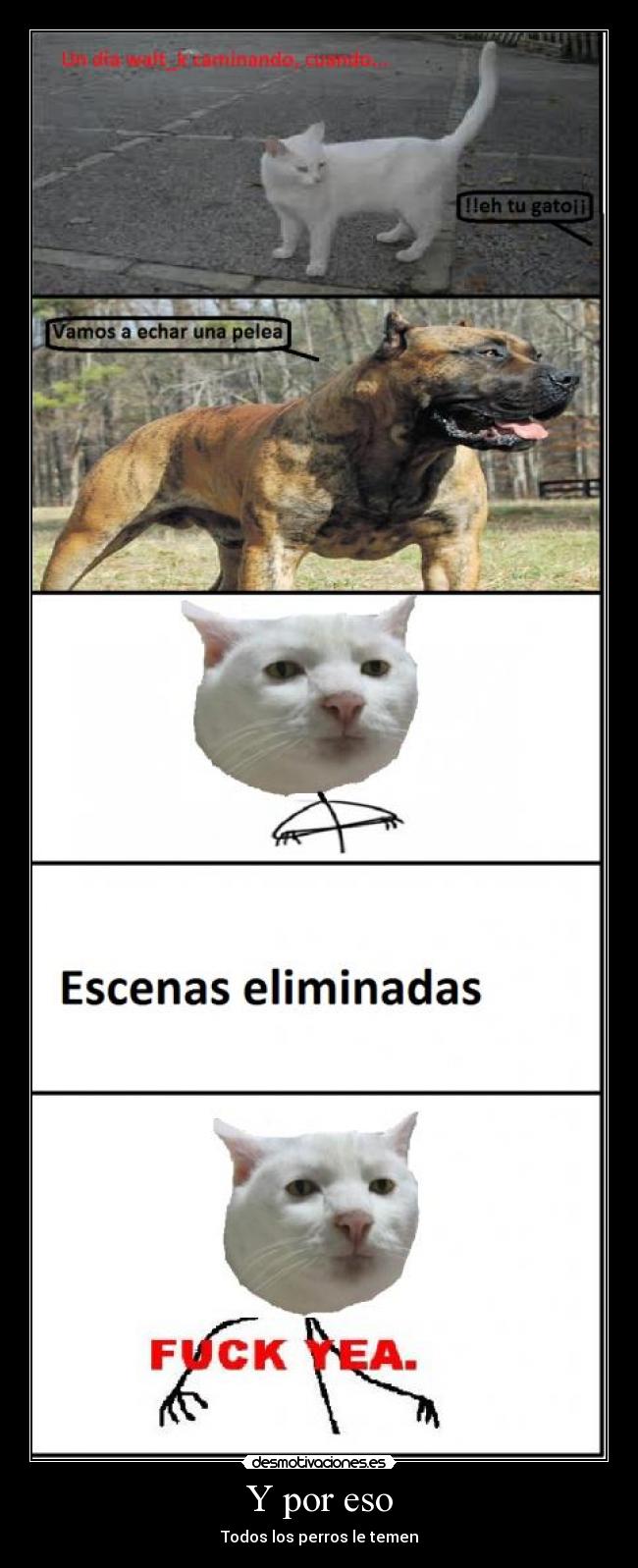 Y por eso - Todos los perros le temen