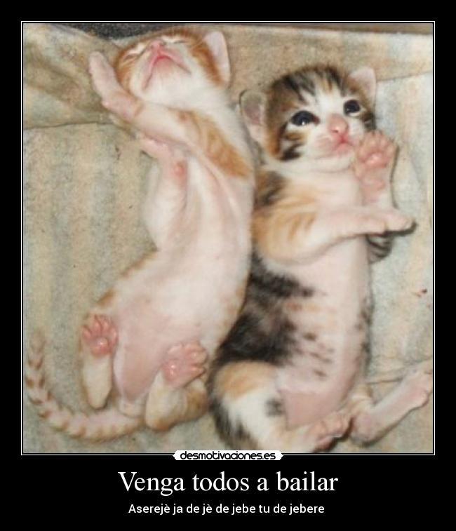 Venga todos a bailar - Aserejè ja de jè de jebe tu de jebere 