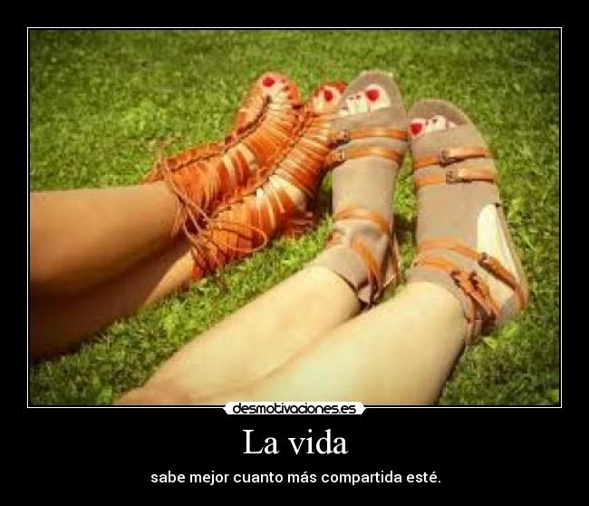 carteles vida vida compartida compartir chicas amigos amor desmotivaciones