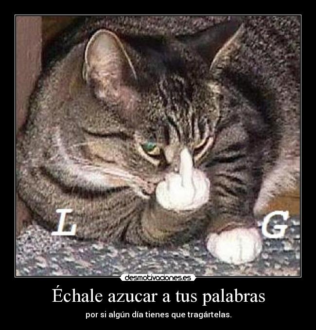 Échale azucar a tus palabras - por si algún día tienes que tragártelas.