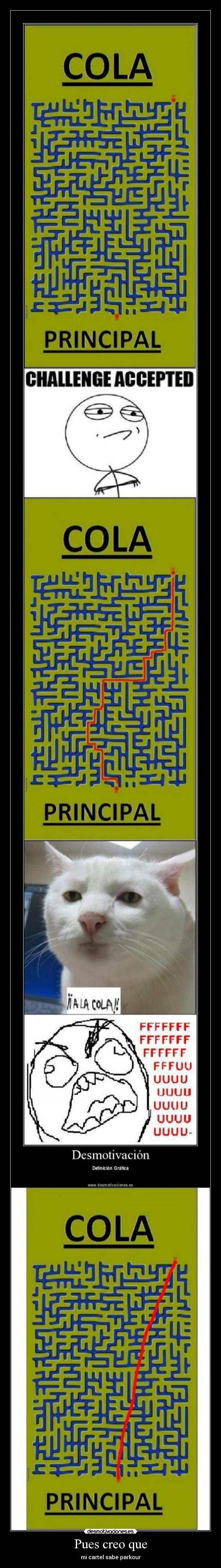 Pues creo que - mi cartel sabe parkour