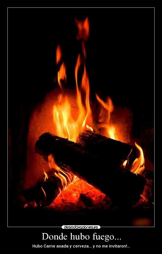 Donde hubo fuego... - Hubo Carne asada y cerveza... y no me invitaron!...