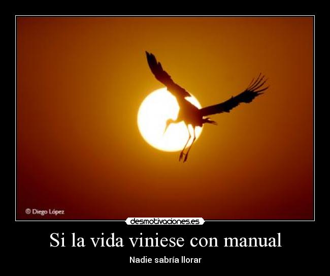 Si la vida viniese con manual - 