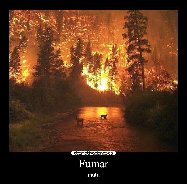 Fumar - mata