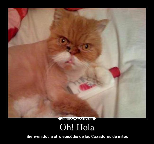 Oh! Hola - Bienvenidos a otro episódio de los Cazadores de mitos