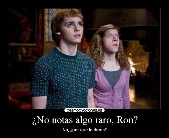 ¿No notas algo raro, Ron? - No, ¿por que lo dices?