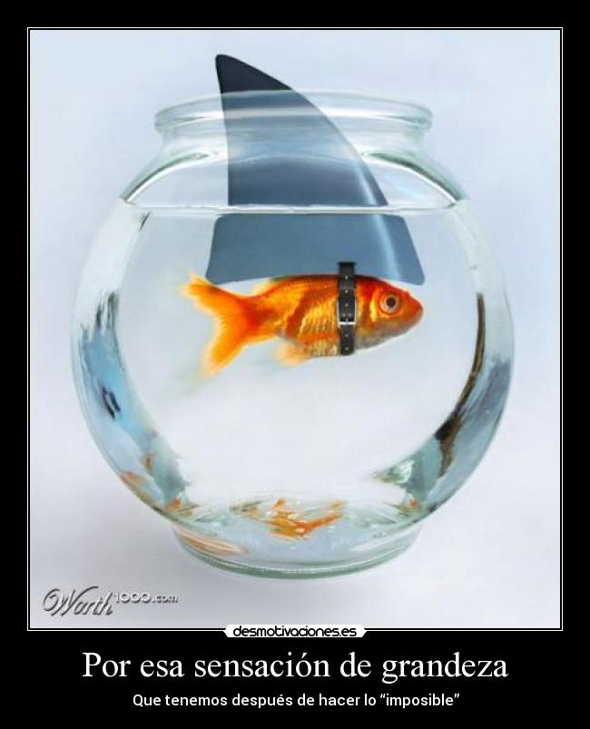 Por esa sensación de grandeza - 