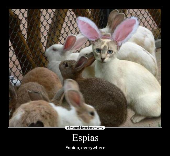 Espías - 
