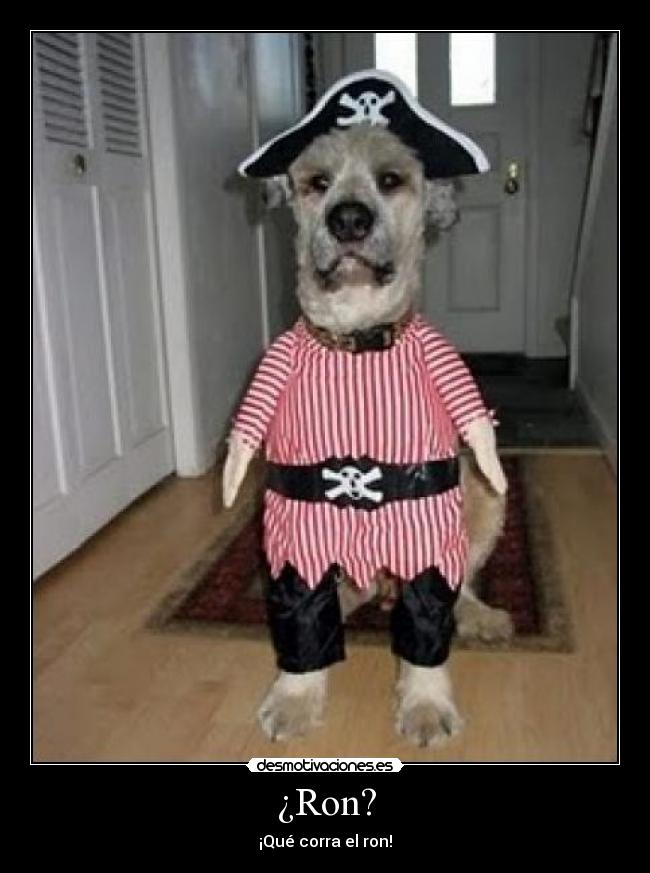 ¿Ron? -