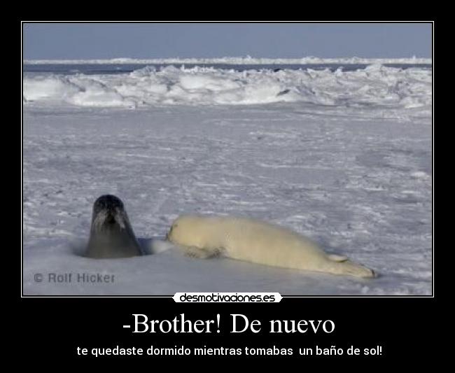 -Brother! De nuevo -  te quedaste dormido mientras tomabas  un baño de sol!